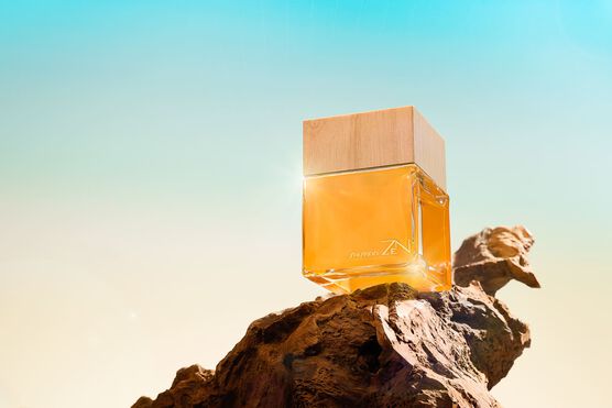 ZEN SHISEIDO EAU DE PARFUM ED. LIMITADA - PERFUME FEMININO 100ML